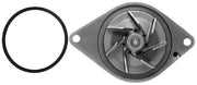 Engine Water Pump Gates 42133