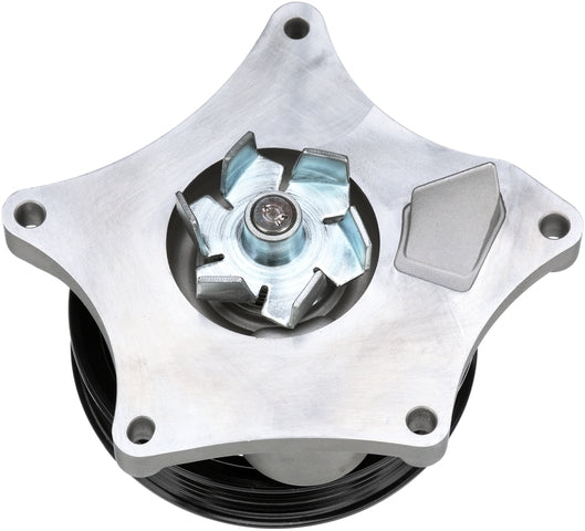 Engine Water Pump Gates 42201