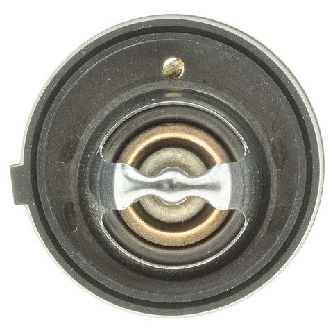 Engine Coolant Thermostat MotoRad 425-195