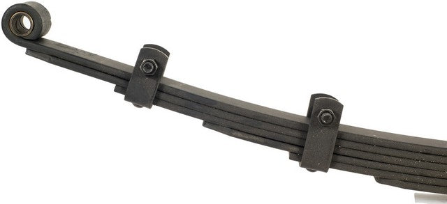 Leaf Spring Dorman-OE Solutions 43-170