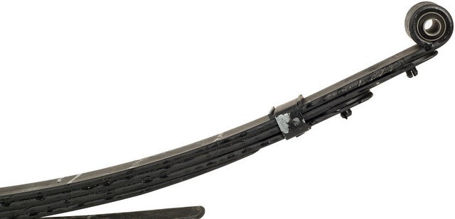 Leaf Spring Dorman-OE Solutions 43-245