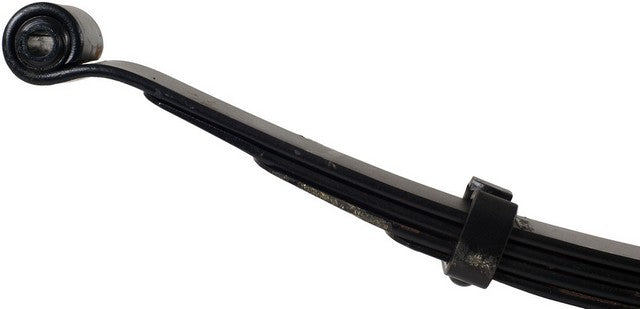 Leaf Spring Dorman-OE Solutions 43-559