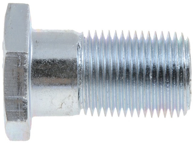 Screw Dorman-AutoGrade 170-317