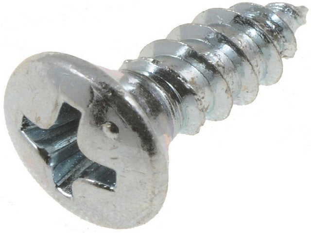 Screw Dorman-AutoGrade 360-205
