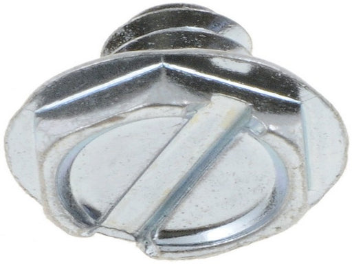 Screw Dorman-AutoGrade 851-300