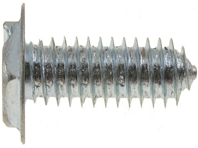 Screw Dorman-AutoGrade 365-221