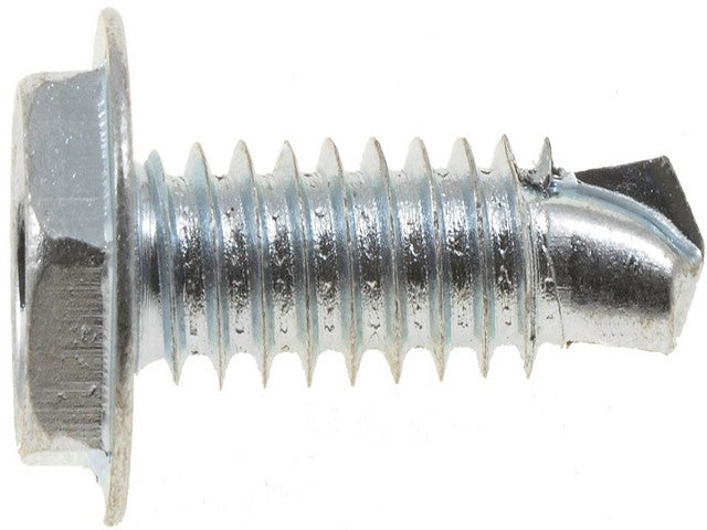 Screw Dorman-AutoGrade 700-203