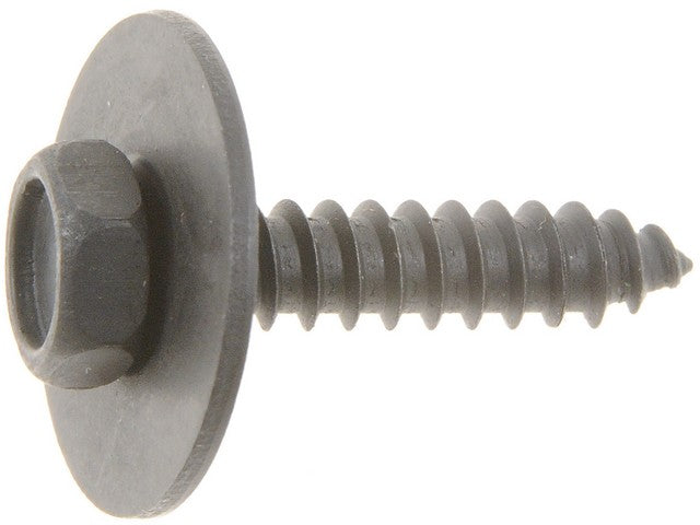 Body Bolt Dorman-AutoGrade 700-254