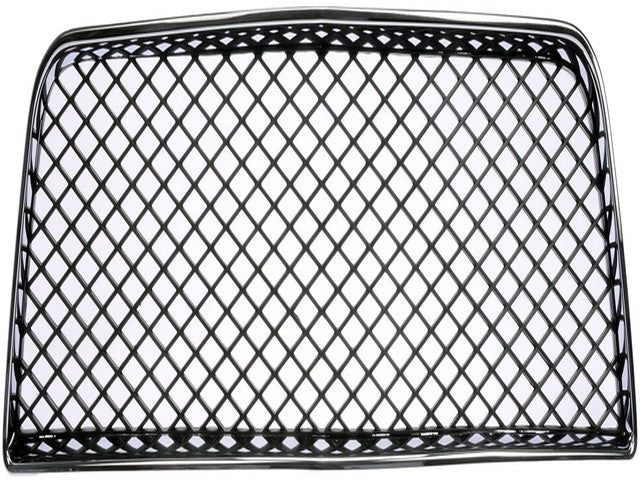 Bumper Grille Insert Dorman-Help 45171