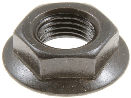 Nut Dorman-AutoGrade 700-275