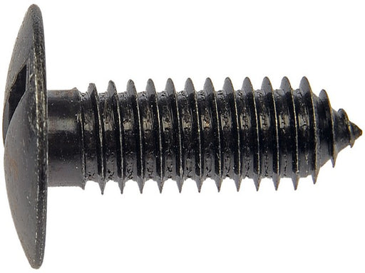 License Plate Retainer Dorman-AutoGrade 785-128