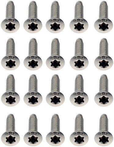 Door Hinge Screw Dorman-Help 45998