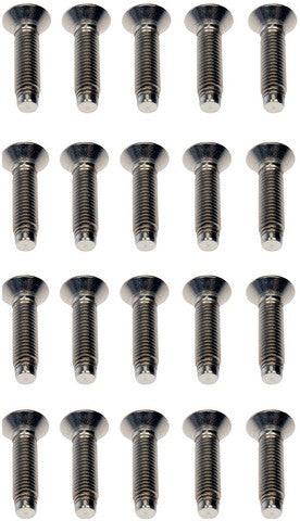 Door Hinge Screw Dorman-Help 45998
