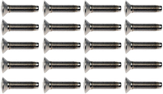 Door Hinge Screw Dorman-Help 45998