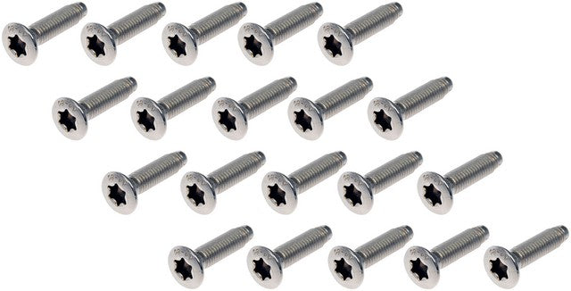 Door Hinge Screw Dorman-Help 45998