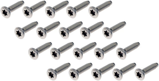 Door Hinge Screw Dorman-Help 45998