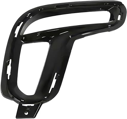 Fog Light Bezel  CH1039256