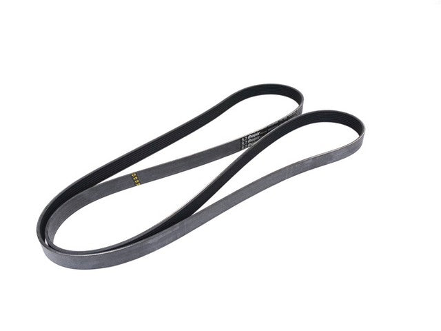 Accessory Drive Belt Mopar 53032805AB
