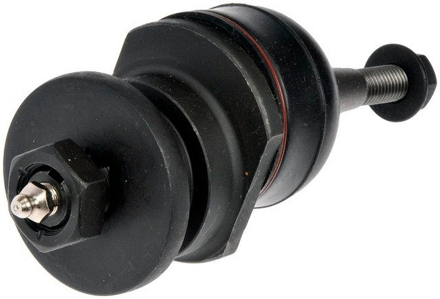 Alignment Caster / Camber Ball Joint Dorman-OE Solutions 531-992