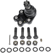 Suspension Ball Joint Dorman-OE Solutions 535-800