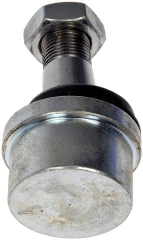 Alignment Caster / Camber Ball Joint Dorman-OE Solutions 535-960