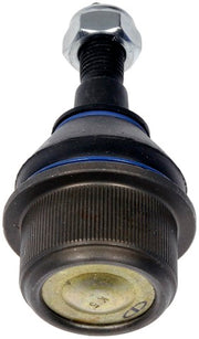 Suspension Ball Joint Dorman-OE Solutions 536-637