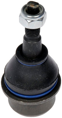 Suspension Ball Joint Dorman-OE Solutions 536-637
