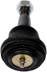 Alignment Caster / Camber Ball Joint Dorman-OE Solutions 539-008
