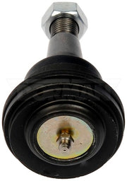 Alignment Caster / Camber Ball Joint Dorman-OE Solutions 539-009