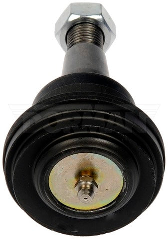 Alignment Caster / Camber Ball Joint Dorman-OE Solutions 539-009