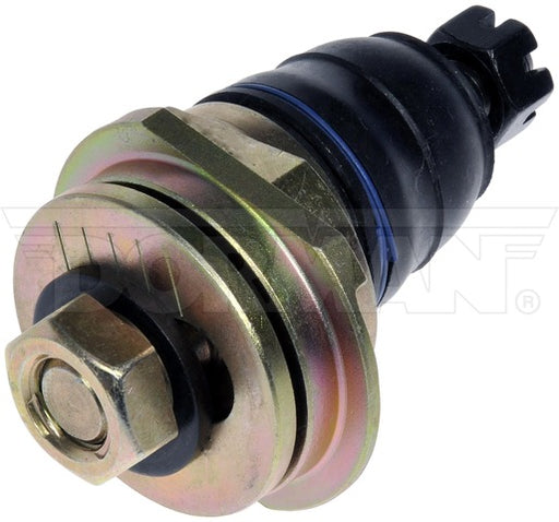 Alignment Caster / Camber Ball Joint Dorman-OE Solutions 539-019