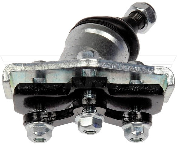 Alignment Caster / Camber Ball Joint Dorman-OE Solutions 538-816