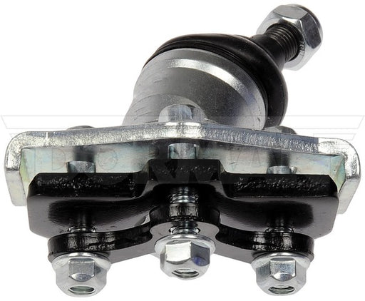 Alignment Caster / Camber Ball Joint Dorman-OE Solutions 539-024
