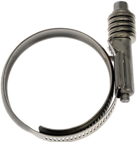 Intercooler Hose Clamp Dorman-Help 55244