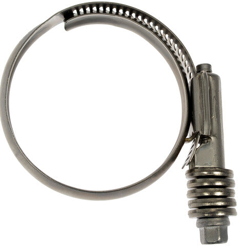 Intercooler Hose Clamp Dorman-Help 55244
