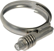 Intercooler Hose Clamp Dorman-Help 55244