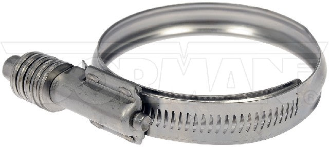 Intercooler Hose Clamp Dorman-Help 55245