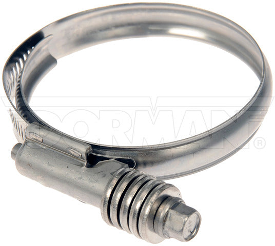 Intercooler Hose Clamp Dorman-Help 55245