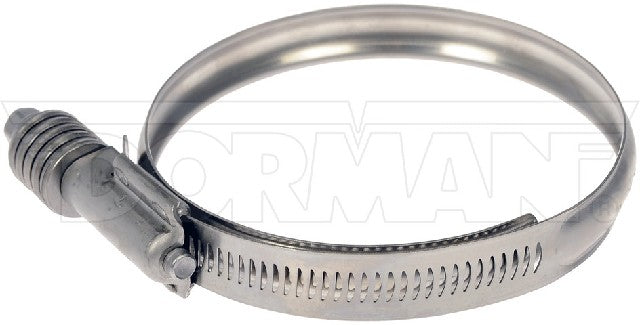 Intercooler Hose Clamp Dorman-Help 55246