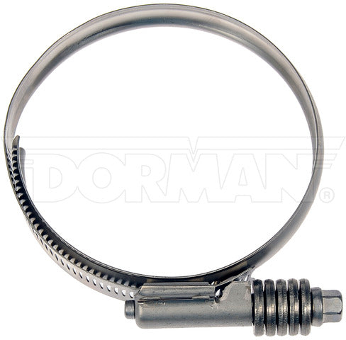 Intercooler Hose Clamp Dorman-Help 55246