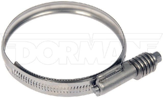 Intercooler Hose Clamp Dorman-Help 55246