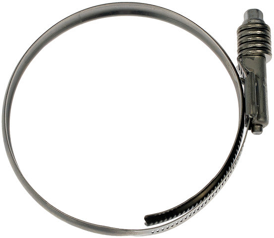 Intercooler Hose Clamp Dorman-Help 55247