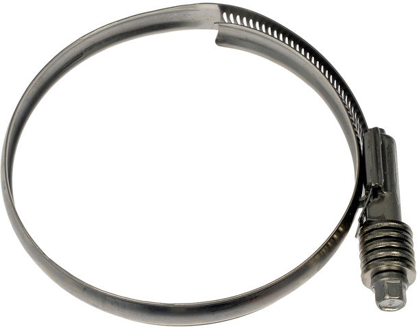 Intercooler Hose Clamp Dorman-Help 55247
