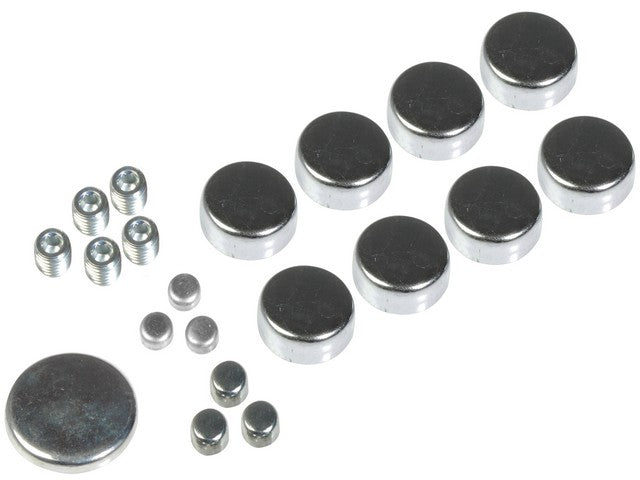 Engine Expansion Plug Kit Dorman-AutoGrade 557-001