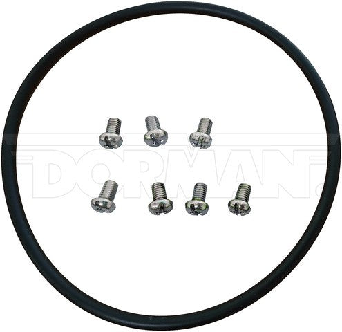 Fuel Tank Dorman-OE Solutions 576-731