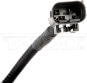 Park Assist Camera Dorman-OE Solutions 590-075