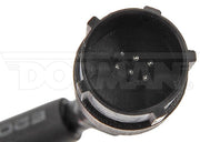Park Assist Camera Dorman-OE Solutions 590-096