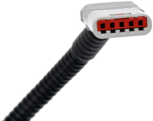 Park Assist Camera Dorman-OE Solutions 590-116