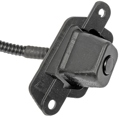 Park Assist Camera Dorman-OE Solutions 590-119