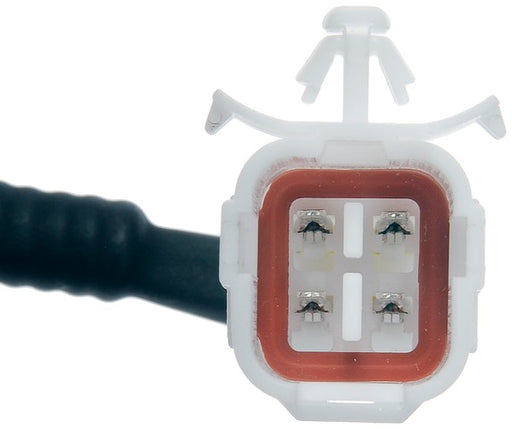 Park Assist Camera Dorman-OE Solutions 590-120